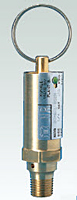 Model 30 Bronze Safety Valve for Air, Non-Hazardous Gas image